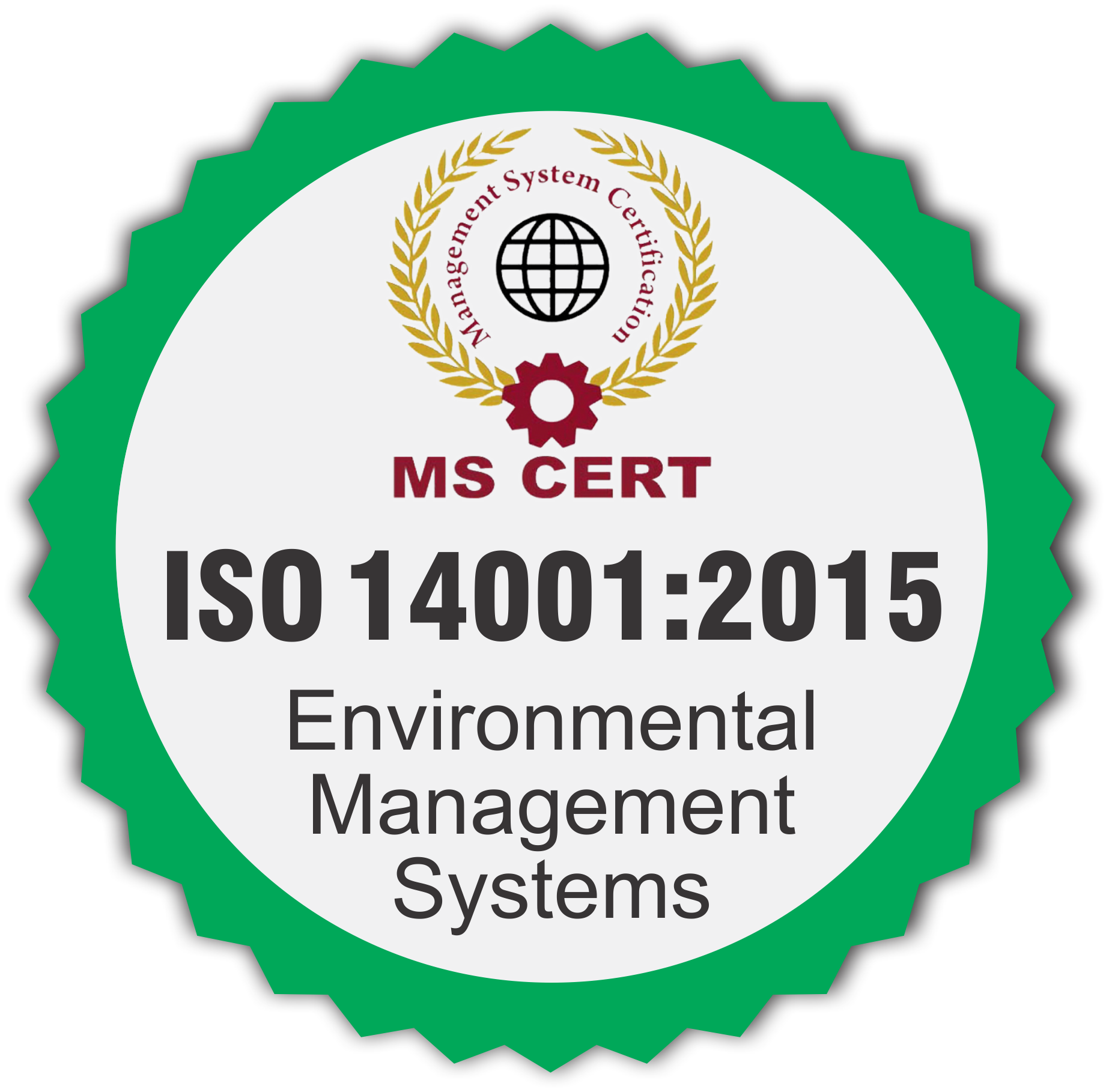 Environmental Management Systems <br> ISO 14001:2015