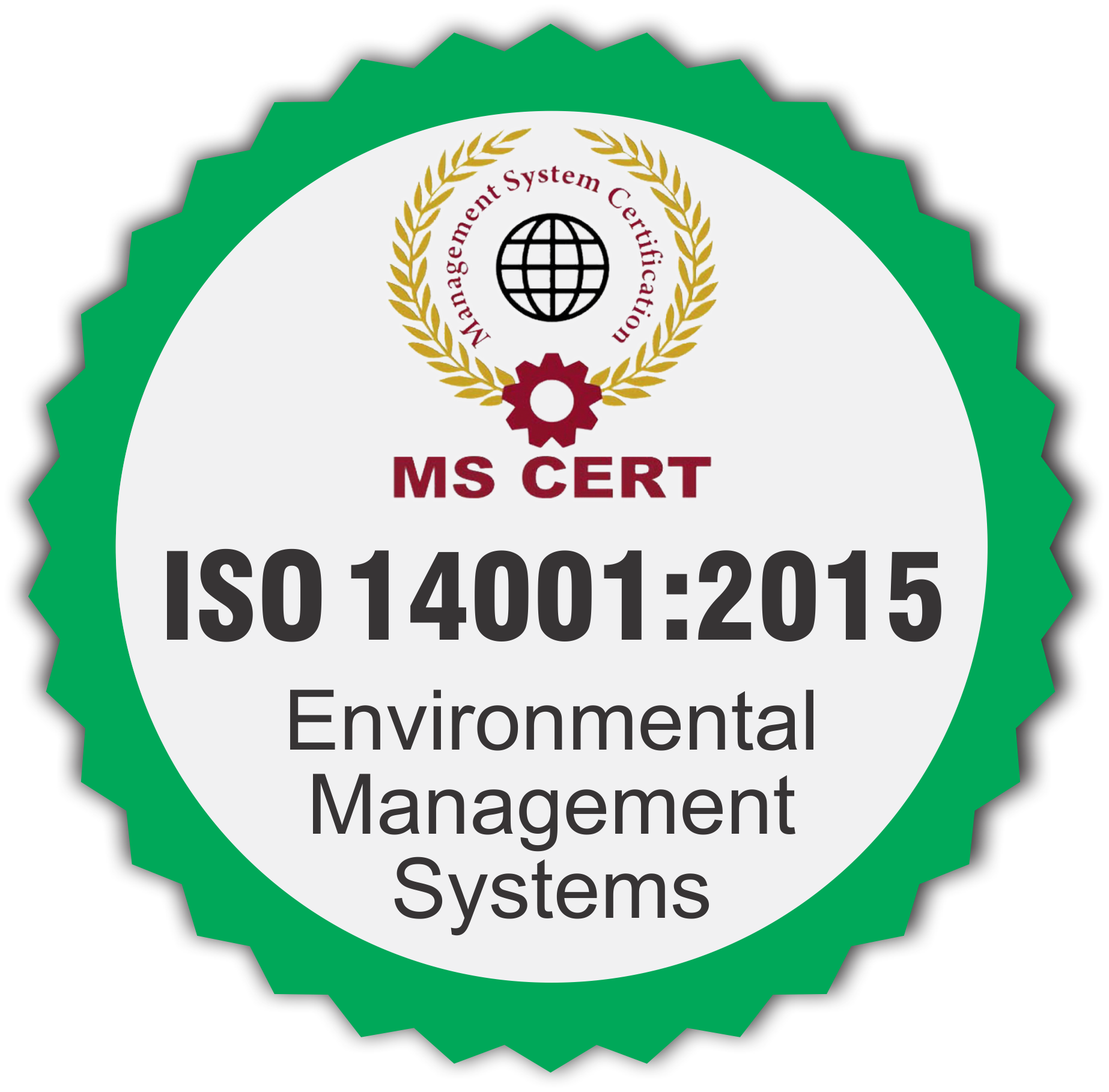 Hệ thống quản lý Môi trường <br> ISO 14001:2015