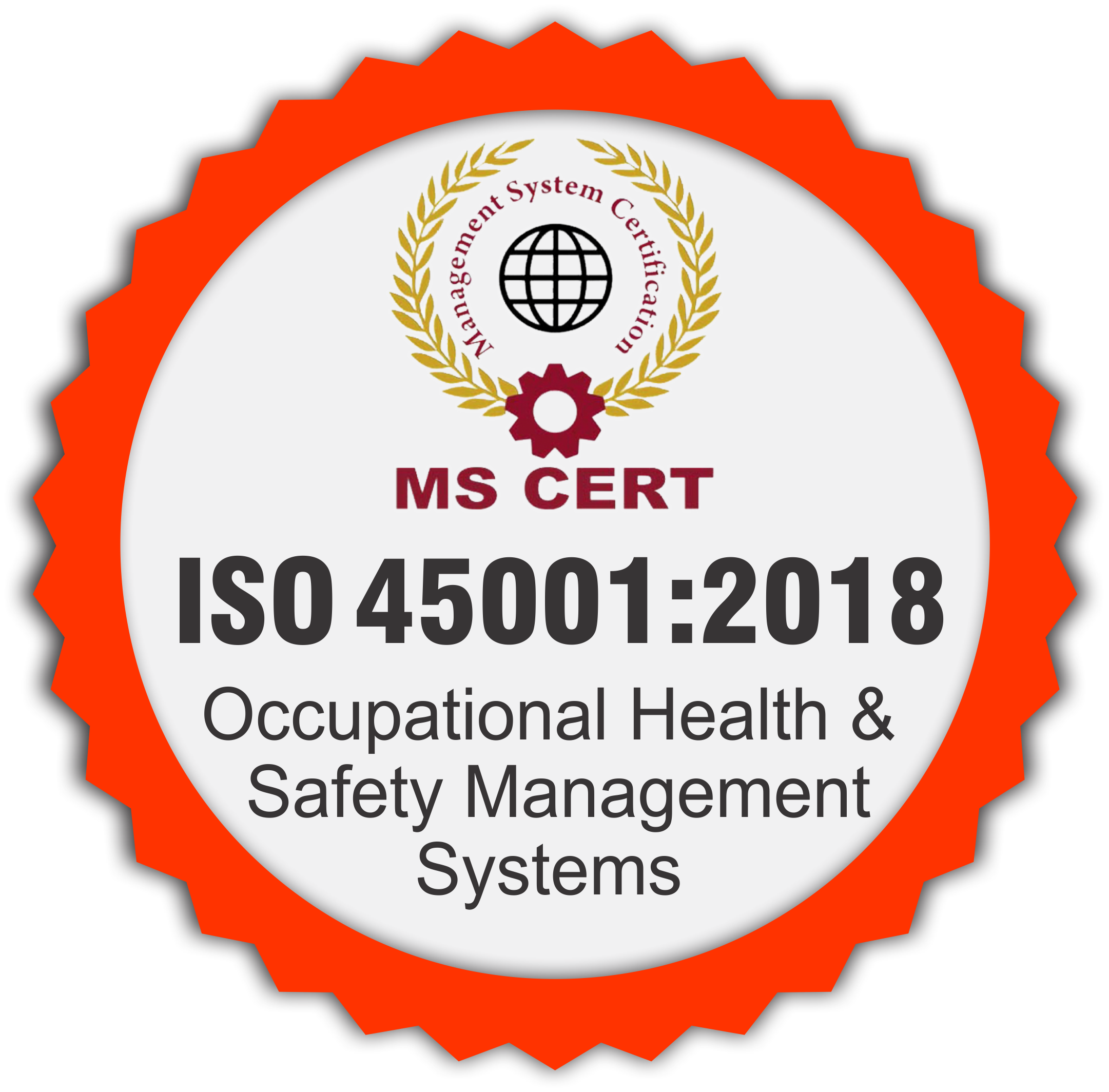 Occupational Health & Safety Management Systems <br> ISO 45001:2018